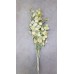 LUNARIA NATURAL 36"